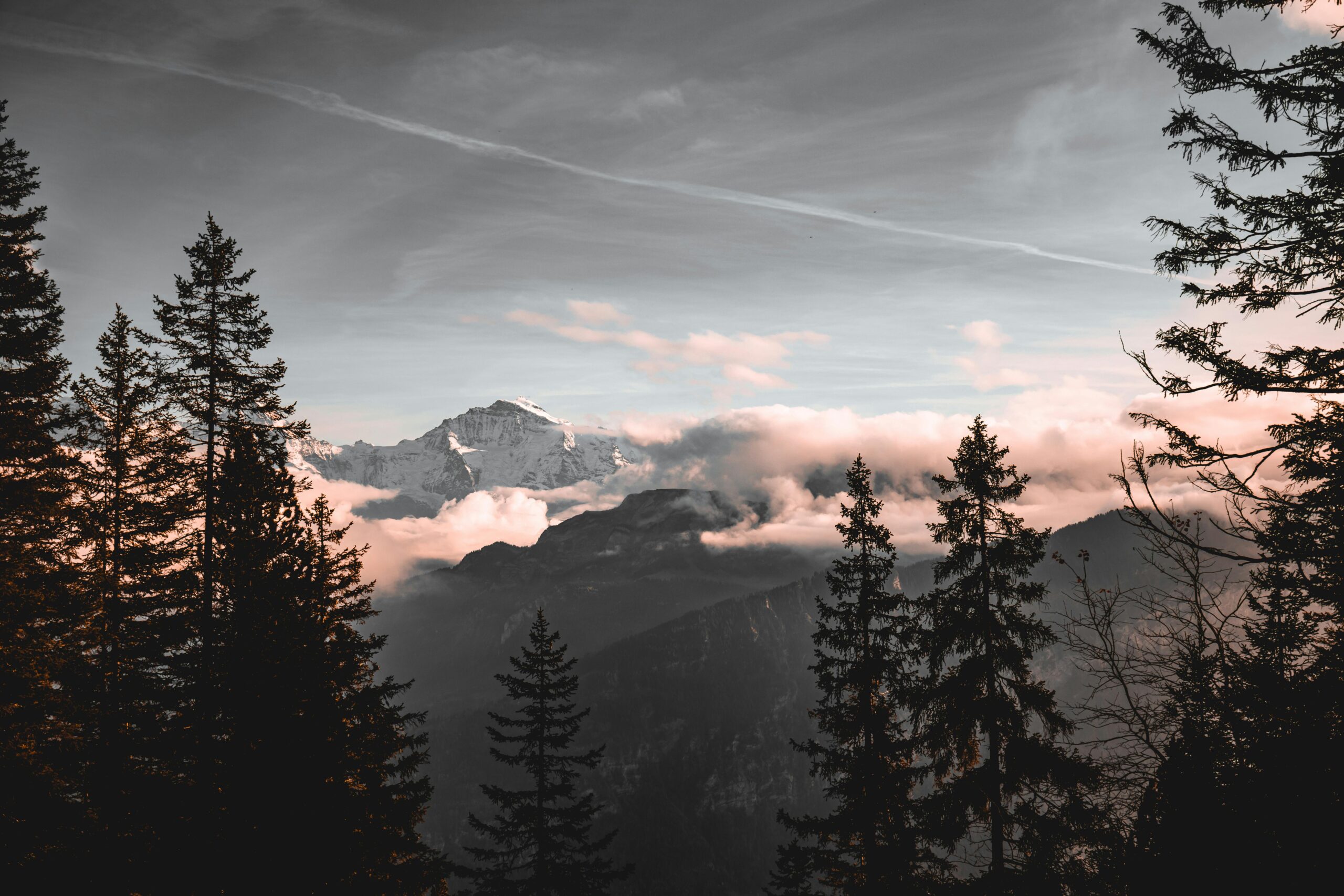 Governance & Compliance Beratung bei techtask